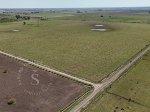 Venta Campo Mixto. 64 Ha. La Criolla, Santa Fe.
