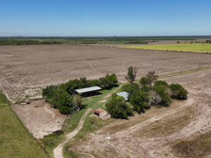 Venta Campo Mixto En Producción. 580 Ha. Calchaquí, Sf