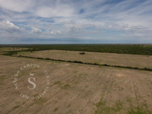 Venta Campo Mixto. Tostado, Santa Fe. 425 Hectáreas.