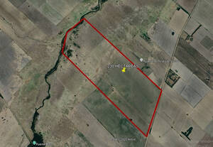 Venta - Campo - Ramallo - 230 Hectareas
