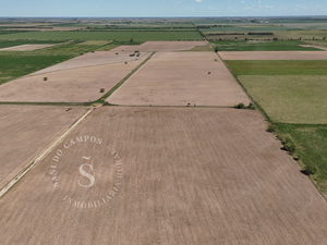 Venta Campo. Tambo/Agricultura. Santa María Centro, Santa Fe. 58 hectáreas. 