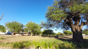 Venta De Campo En Isla De San Antonio - Quilino 1860 Ha