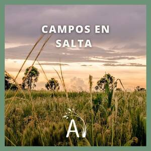 Venta De Campos En Salta - Consultanos