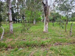 Venta de 3 Lotes de 340 m2 cada uno a 300 metros de la Ciudad Judicial