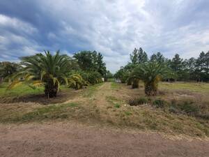 Venta de Lote de 5.800 M2 sobre Ruta Nac 123 en Mercedes - Corrientes