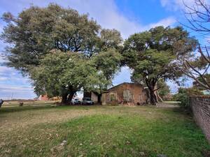 Venta de Lote de 875 me en Felipe Yofre (Dto. Mercedes) Corrientes