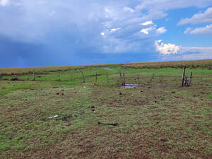 Venta De Lote De Terreno En Colonia Carlos Pellegrini