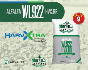 Semillas De Alfalfa "wl 922 Hvx.rr" - Alfalfas Wl