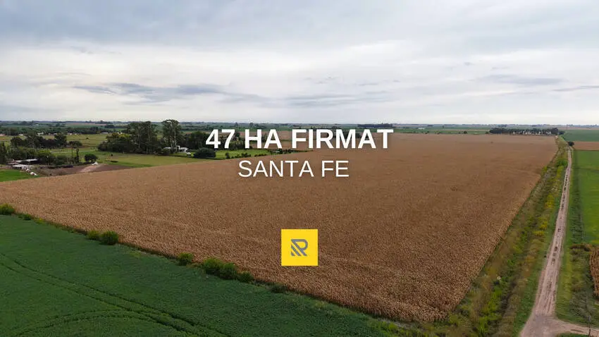 47Ha Firmat | Agrofy