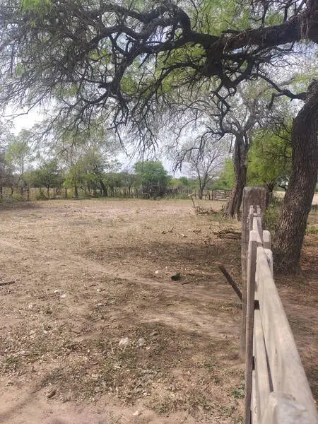 Campo Para Armar 230 Has Mixto 30 Km De Machagai Chaco Agrofy