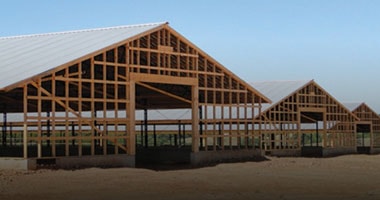 Estructuras